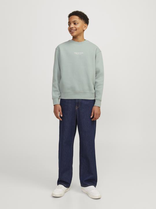 Immagine prodotto Jack & Jones Jorvesterbro Sweat Crew Neck Bn Mni (110)