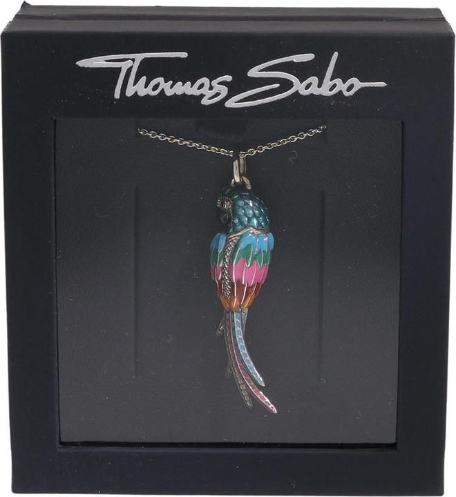 Actual product image Thomas Sabo Necklaces (Silver, 42 cm)