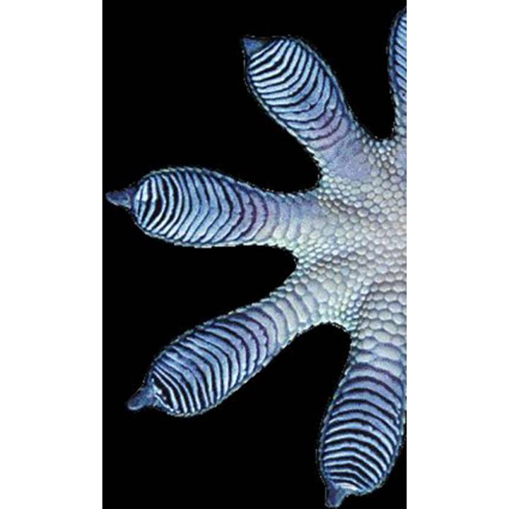 Actual product image Gedore 1500 H 13 Anti-slip mat