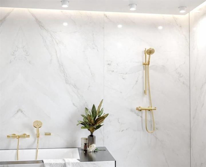 Actual product image hansgrohe Shower rail UNICA"S PURO, 650mm polished gold
