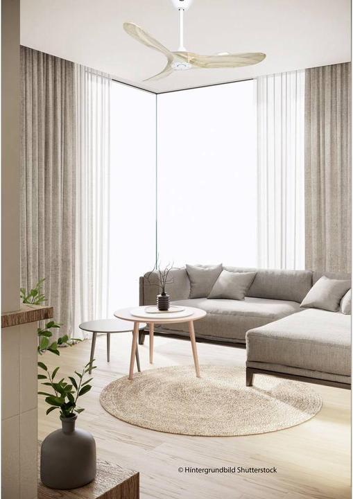 Actual product image CasaFan Eco Genuino (15 dB)