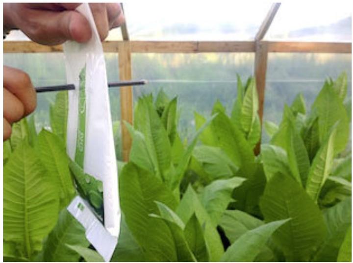 Produktbild CO2 Bag The Bag Grower