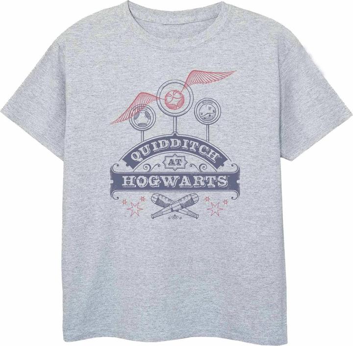 Actual product image Boys Quidditch T-Shirt (116)