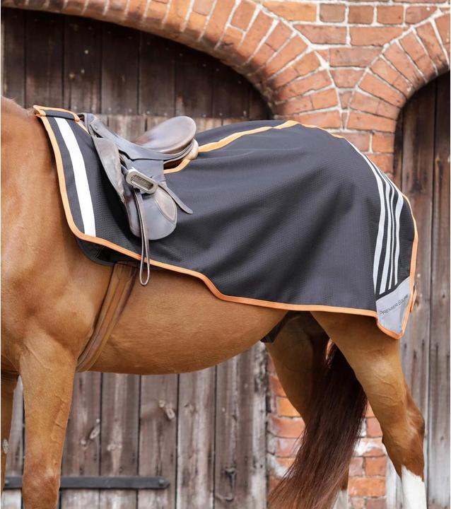 Premier Equine Stratus Exercise Sheet