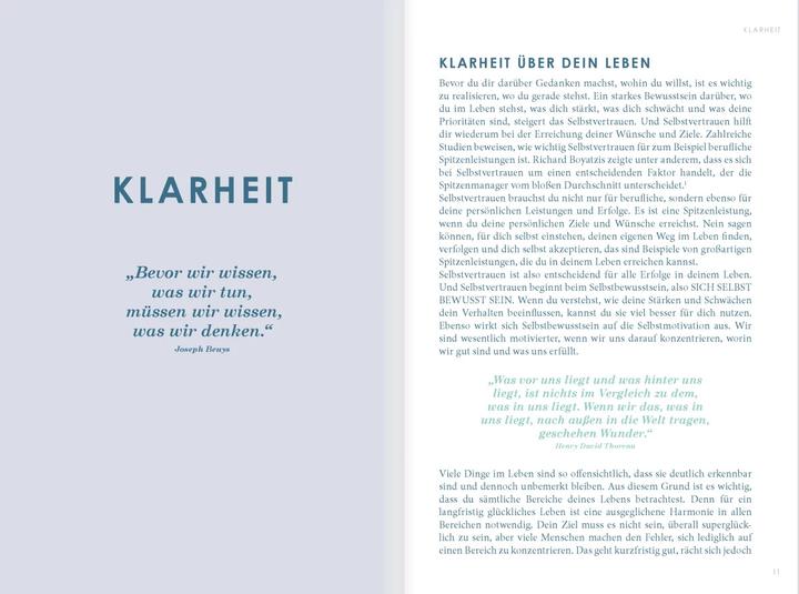 Image du produit The New You mint) - Das Buch, das dein Leben verändert (Allemand, Iris Reiche, 2024)