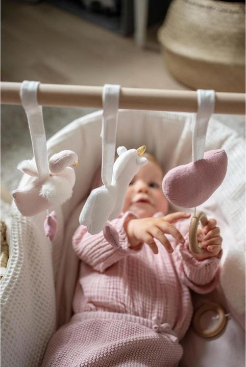 Actual product image Jabadabado Babygym