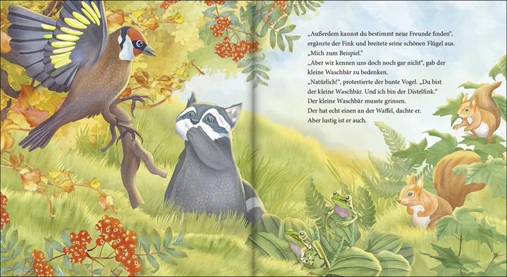 Produktbild Kopf hoch, kleiner Waschbär – ein Bilderbuch für Kinder ab 2 Jahren (Deutsch, Lea Kässmann, 2021)
