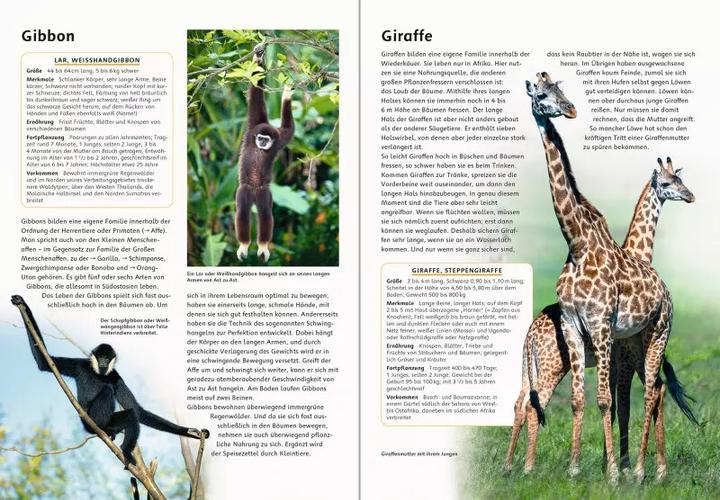 Produktbild Ravensburger Das grosse Tierlexikon von A bis Z (Deutsch, Eckart Pott)