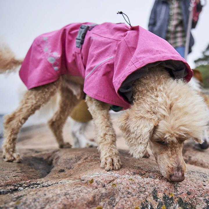 Actual product image Hurtta Monsoon V2 Eco green mackintosh, 70 cm (70, Dog raincoat)