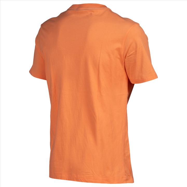 Actual product image Arena M T-Shirt Solid Cotton (XL)