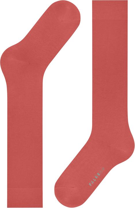 Actual product image Falke Knee socks (Single pack, 35 - 38)