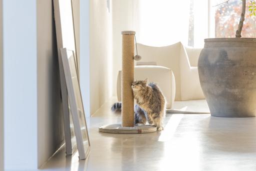 Immagine prodotto Designed by Lotte Yenna (70 cm, Grigio)