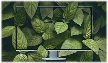 Image du produit Eizo EV2360 FlexScan (1920 x 1200 pixels, 23")