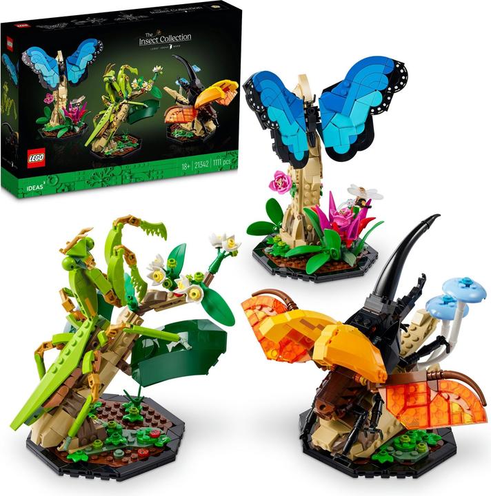 Actual product image LEGO Ideas The insect collection (21342, LEGO Ideas)