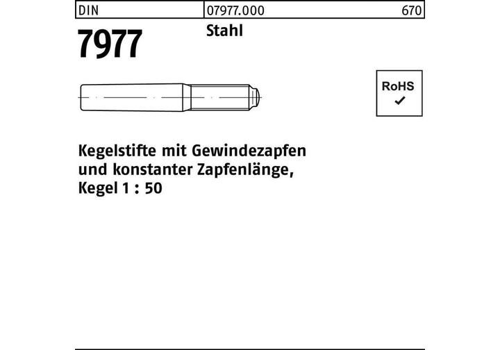 Immagine prodotto SanDisk DIN 7977 Perni conici con perno filettato Acciaio 8 x 55 S
