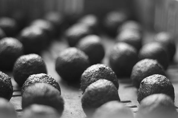 Actual product image Gorilla Gardening Seedballs (Seed bombs)
