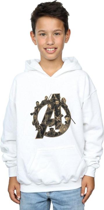 Actual product image Boys Avengers Infinity War Logo Hoodie (140, 146)