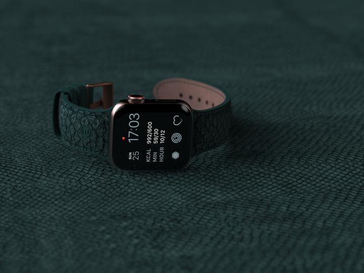 Actual product image Njord Jord Watch Strap For (40 mm, 41 mm, Stainless steel fastener, Salmon leather, Vegan Leather, Apple Watch)