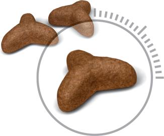 Immagine prodotto Royal Canin Luce 40 (Adulto, 1 pz., 400 g)