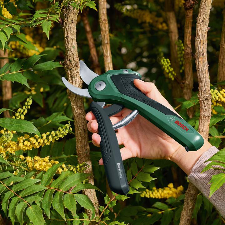 Immagine prodotto Bosch Home & Garden EasyPrune