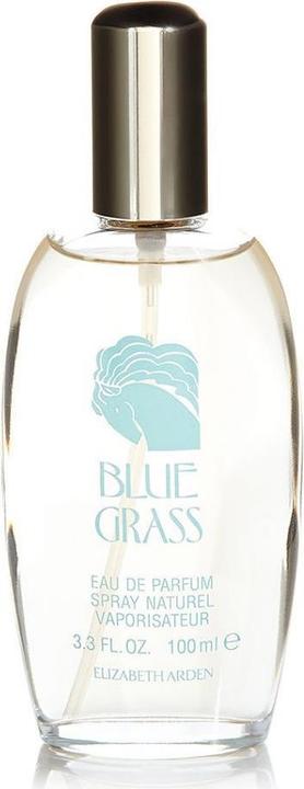 Image du produit Elizabeth Arden Blue Grass (Eau de parfum, 100 ml)