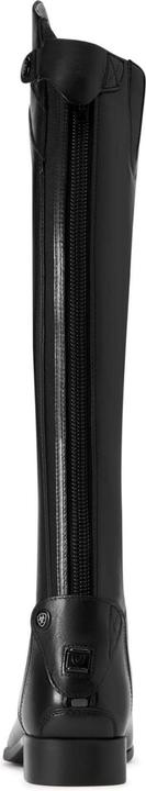 Produktbild Ariat Reitstiefel Palisade (39)