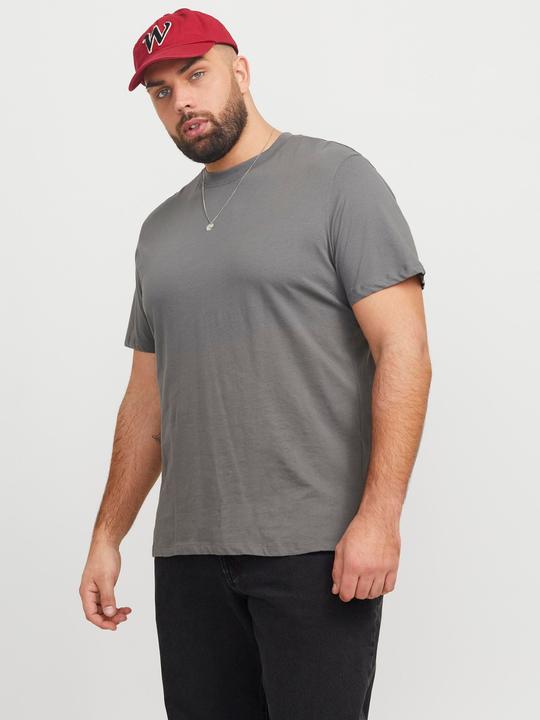 Produktbild Jack & Jones Jjebradley Tee Ss Noos Pls (5XL)