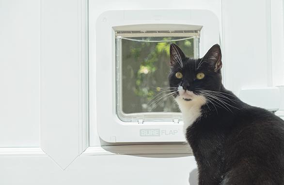 Image du produit SureFlap Connexion (Chatière à micropuce)