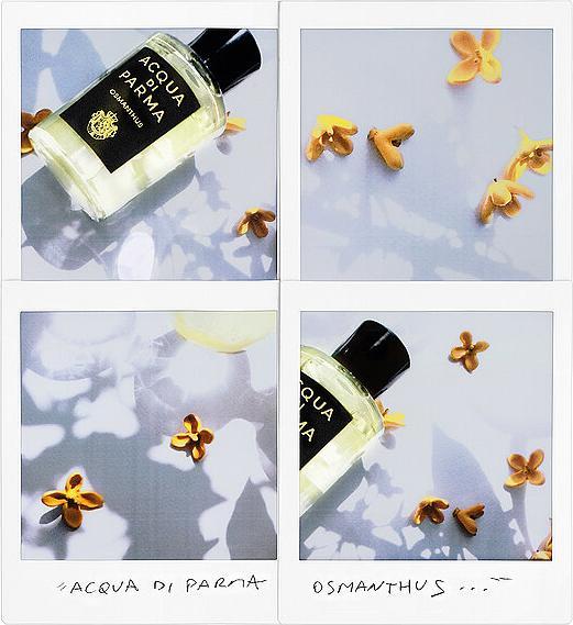 Actual product image Acqua Di Parma Osmanthus Eau de Parfum (Eau de parfum, 180 ml)