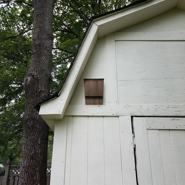 Actual product image Relaxdays Bat box