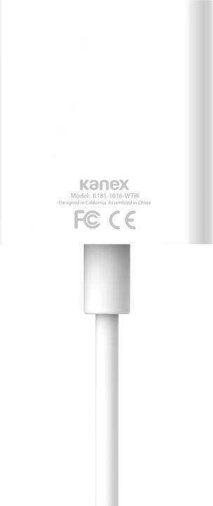 Actual product image Kanex USB-C to (DP, 20 cm)