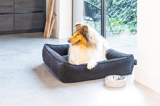 Produktbild Designed by Lotte Ribbed (Hund)