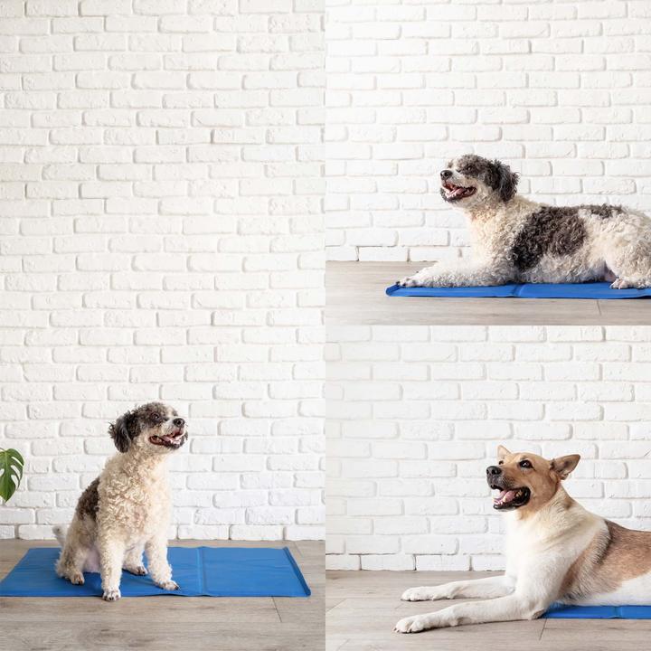 Actual product image Fudajo Cooling mat (Cat, Dog)