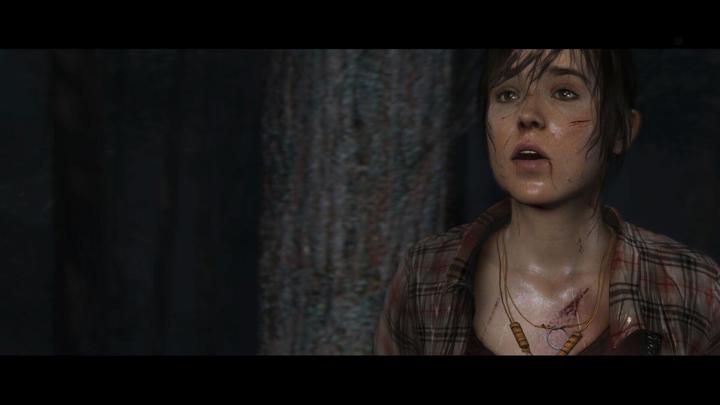 Image du produit Sony The Heavy Rain and Beyond : Two Souls Collection (PS4) (PS4)