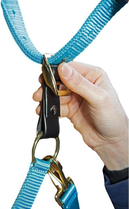Actual product image Aviemore Leather safety tab horse halter