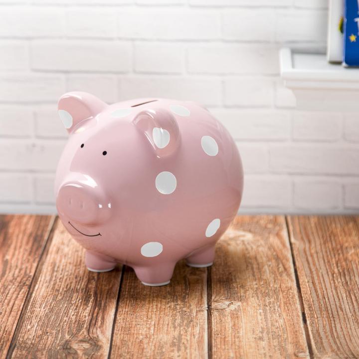 Image du produit Pearhead Cochon