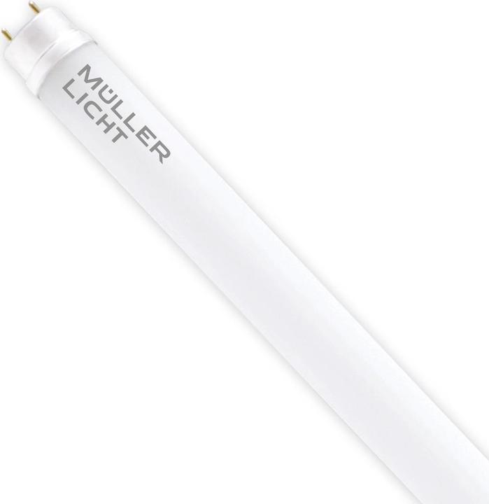 Actual product image Müller Licht Tube (G13, 10 W, 1000 lm, 1 x, F)