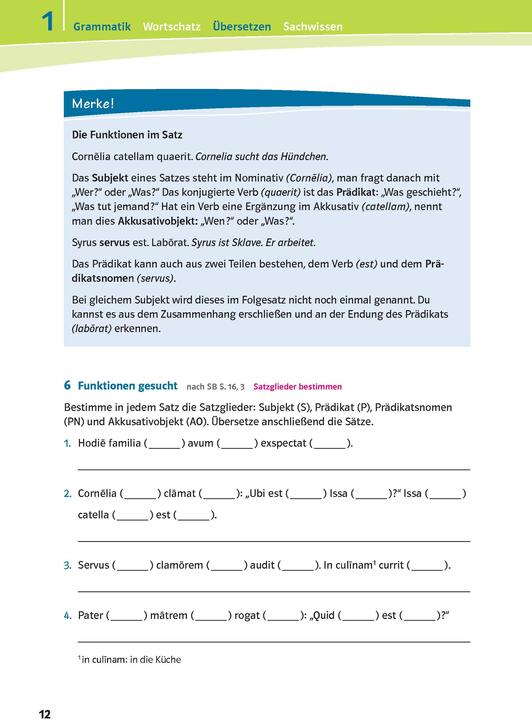 Produktbild Pontes 1. Das Trainingsbuch zum Schulbuch (Deutsch, MariaAnna, Söllner, 2014)