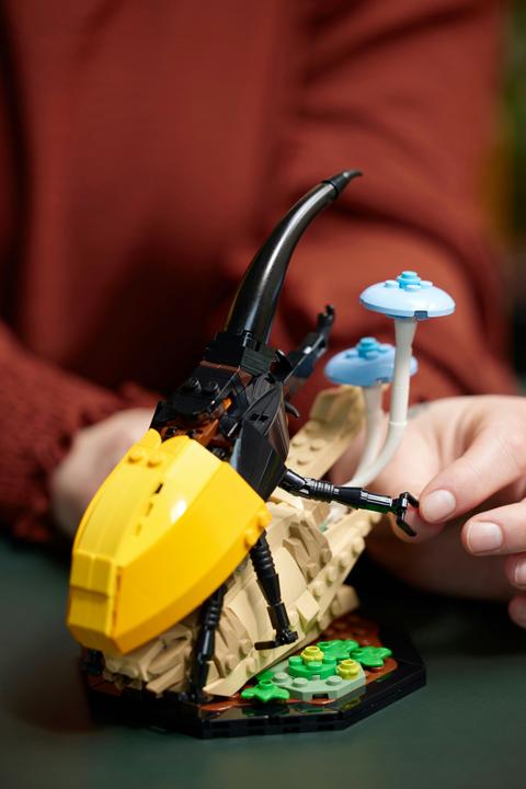 Immagine prodotto LEGO Idee La collezione di insetti (21342, LEGO Ideas)