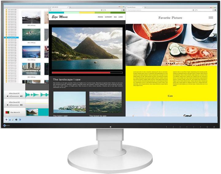 Eizo Ev2780 (2560 x 1440 Pixel, 27")