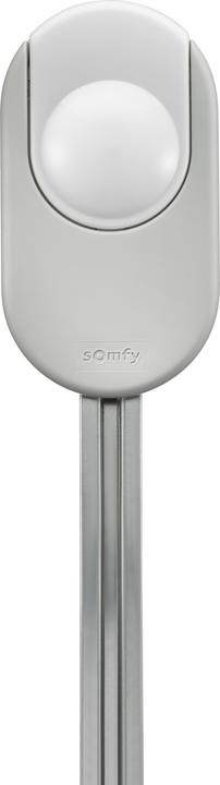Immagine prodotto somfy 1241568 Dexxo Smart 1000 io