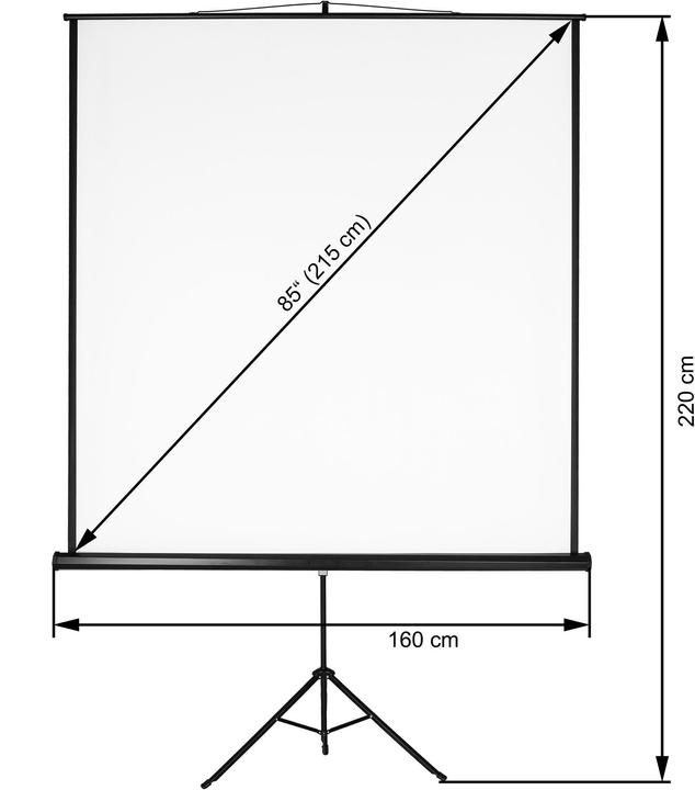 Actual product image tectake Tripod Beamer Screen (84.25", 1:1)