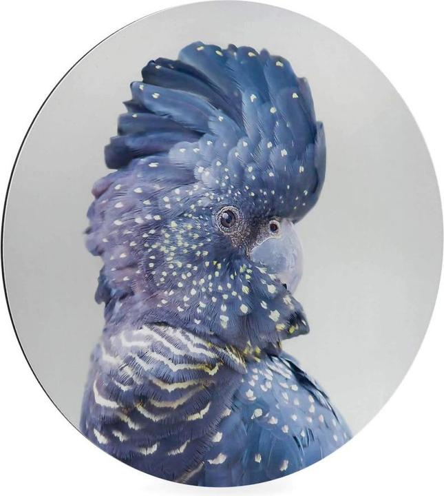 Produktbild Trenddeko Blaue Kakadu (Rund)
