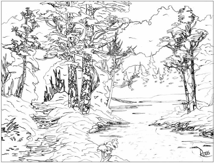 Actual product image The colouring book
