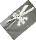 Actual product image Deko Ceiling Fan White Liane with Pull Switch 132 cm