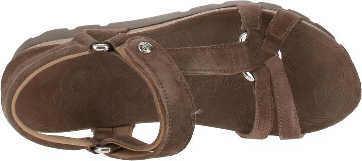 Image du produit Panama Jack Sally B7 (40)