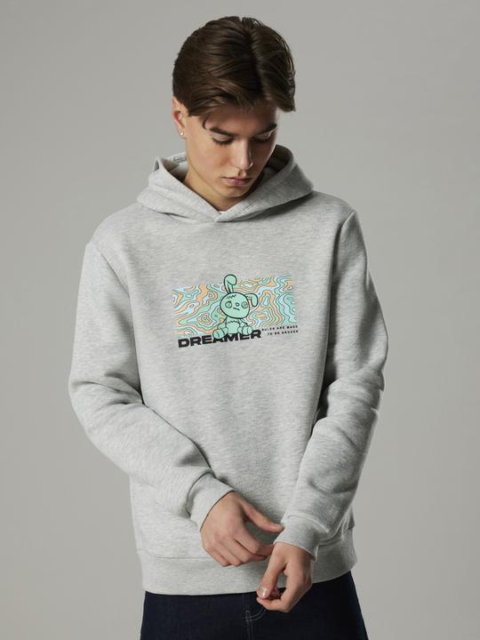 Actual product image Lmtd Loose Fit Hoodie (170)