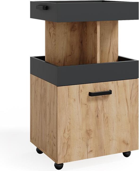 Actual product image Vicco Kamber (50 x 41 x 89 cm)