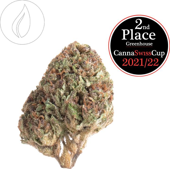 Actual product image SlowWeed Slow Weed Cookies Kush Greenhouse 6g (25.07 g, Indoor)