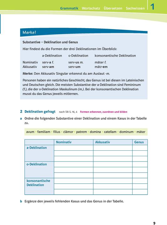 Produktbild Pontes 1. Das Trainingsbuch zum Schulbuch (Deutsch, MariaAnna, Söllner, 2014)
